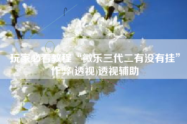 玩家必看教程“微乐三代二有没有挂”作弊(透视)透视辅助