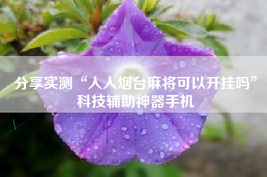 分享实测“人人烟台麻将可以开挂吗”科技辅助神器手机