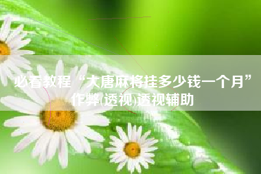 必看教程“大唐麻将挂多少钱一个月”作弊(透视)透视辅助