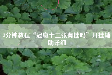 3分钟教程“冠赢十三张有挂吗”开挂辅助详细