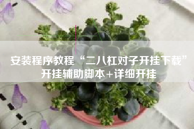 安装程序教程“二八杠对子开挂下载”开挂辅助脚本+详细开挂