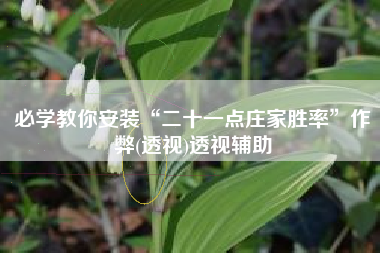 必学教你安装“二十一点庄家胜率”作弊(透视)透视辅助