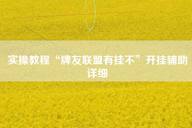 实操教程“牌友联盟有挂不”开挂辅助详细