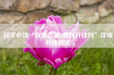 玩家必读“欢乐龙城3可以开挂吗”详细开挂玩法