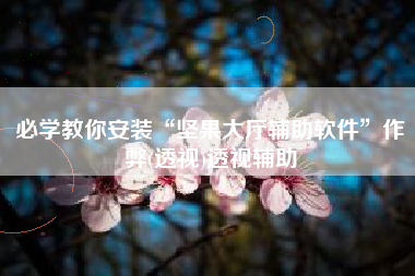 必学教你安装“坚果大厅辅助软件	”作弊(透视)透视辅助