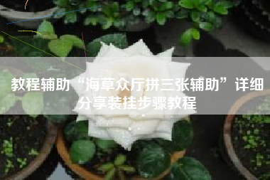 教程辅助“海草众厅拼三张辅助”详细分享装挂步骤教程