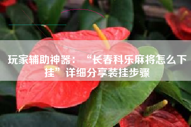 玩家辅助神器：“长春科乐麻将怎么下挂”详细分享装挂步骤