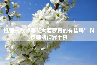 推荐一款“蒲花大菠萝真的有挂吗”科技辅助神器手机