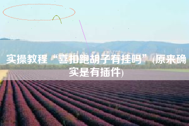 实操教程“喜扣跑胡子有挂吗”(原来确实是有插件)