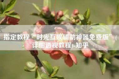 指定教程“时光互娱辅助神器免费版	”(详细透视教程)-知乎