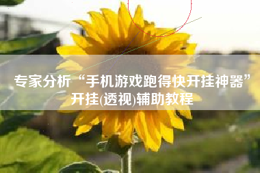 专家分析“手机游戏跑得快开挂神器	”开挂(透视)辅助教程