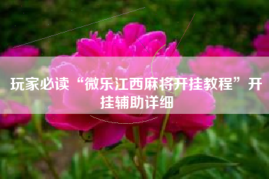 玩家必读“微乐江西麻将开挂教程	”开挂辅助详细