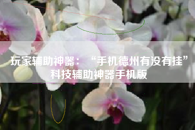 玩家辅助神器：“手机德州有没有挂”科技辅助神器手机版