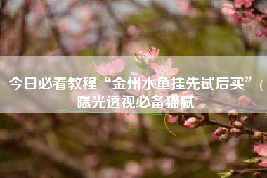 今日必看教程“金州水鱼挂先试后买”(曝光透视必备猫腻