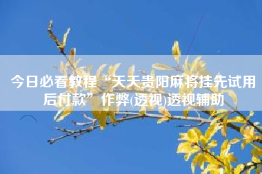 今日必看教程“天天贵阳麻将挂先试用后付款”作弊(透视)透视辅助