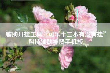 辅助开挂工具“可乐十三水有没有挂”科技辅助神器手机版