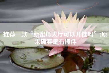 推荐一款“新蜜瓜大厅可以开挂吗”(原来确实是有插件