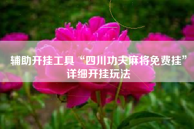 辅助开挂工具“四川功夫麻将免费挂”详细开挂玩法