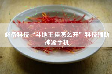 必备科技“斗地主挂怎么开”科技辅助神器手机