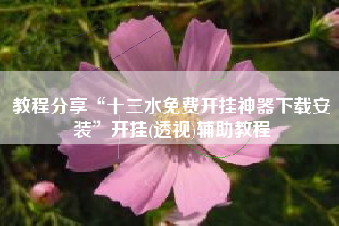 教程分享“十三水免费开挂神器下载安装	”开挂(透视)辅助教程