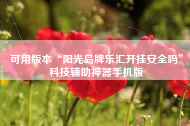 可用版本“阳光岛牌乐汇开挂安全吗”科技辅助神器手机版