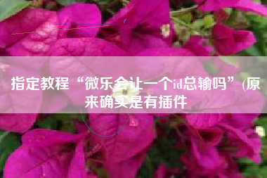 指定教程“微乐会让一个id总输吗	”(原来确实是有插件