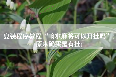 安装程序教程“响水麻将可以开挂吗	”(原来确实是有挂)
