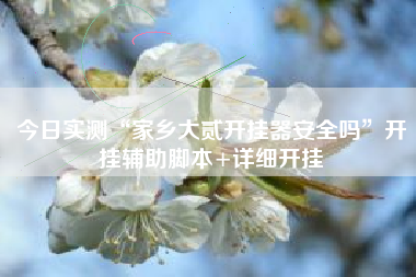 今日实测“家乡大贰开挂器安全吗”开挂辅助脚本+详细开挂