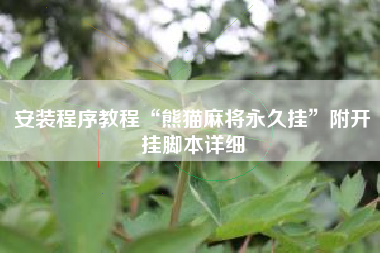 安装程序教程“熊猫麻将永久挂”附开挂脚本详细