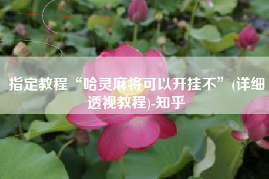 指定教程“哈灵麻将可以开挂不	”(详细透视教程)-知乎