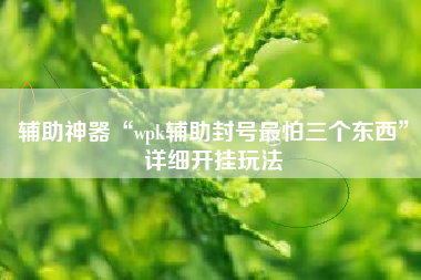 辅助神器“wpk辅助封号最怕三个东西	”详细开挂玩法