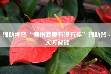 辅助神器“德州菠萝有没有挂”辅助器 - 实时智能