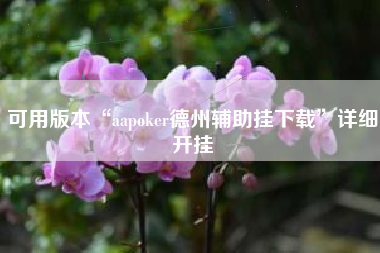 可用版本“aapoker德州辅助挂下载”详细开挂