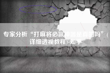 专家分析“打麻将必赢神器是真的吗”(详细透视教程)-知乎