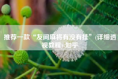 推荐一款“友间麻将有没有挂”(详细透视教程)-知乎