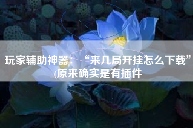 玩家辅助神器：“来几局开挂怎么下载”(原来确实是有插件