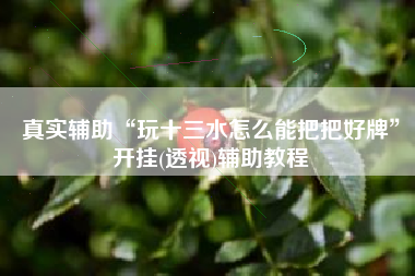 真实辅助“玩十三水怎么能把把好牌”开挂(透视)辅助教程