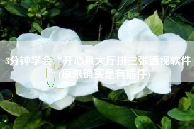 3分钟学会“开心果大厅拼三张透视软件”(原来确实是有插件)