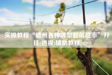 实操教程“德州各种牌型翻前胜率”开挂(透视)辅助教程