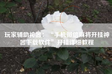 玩家辅助神器：“手机微信麻将开挂神器下载软件”开挂详细教程
