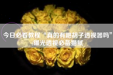 今日必看教程“真的有跑胡子透视器吗	”(曝光透视必备猫腻