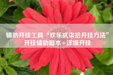 辅助开挂工具“欢乐贰柒拾开挂方法	”开挂辅助脚本+详细开挂