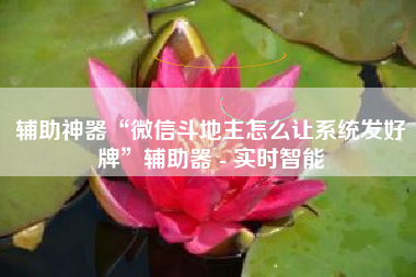 辅助神器“微信斗地主怎么让系统发好牌	”辅助器 - 实时智能