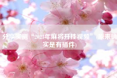 分享实测“2023年麻将开挂视频”(原来确实是有插件)