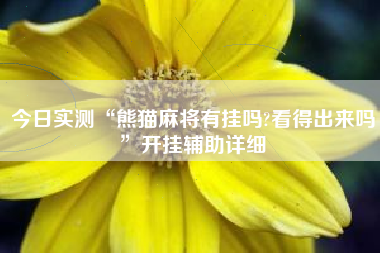今日实测“熊猫麻将有挂吗?看得出来吗	”开挂辅助详细