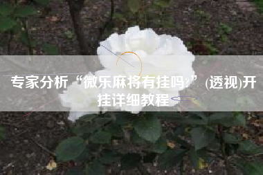 专家分析“微乐麻将有挂吗?	”(透视)开挂详细教程