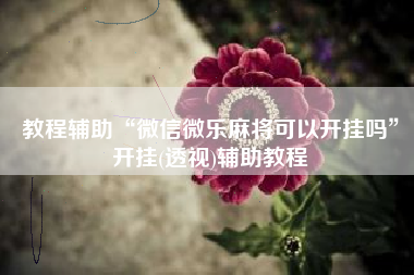 教程辅助“微信微乐麻将可以开挂吗”开挂(透视)辅助教程