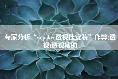 专家分析“wepoker透视挂安装”作弊(透视)透视辅助