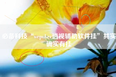 必备科技“wepoker透视辅助软件挂	”其实确实有挂