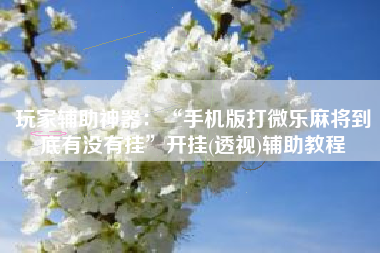 玩家辅助神器：“手机版打微乐麻将到底有没有挂”开挂(透视)辅助教程